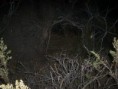 /album/fotogaleria/curso-braak-013-jpg/